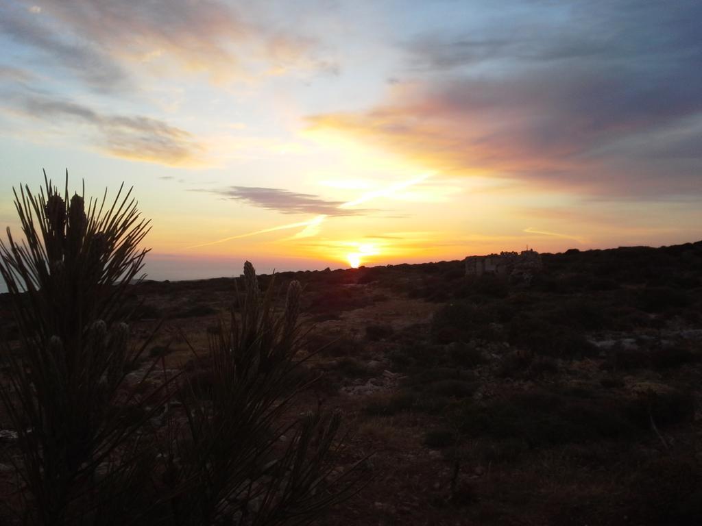 White Stallion Mellieħa Exterior foto