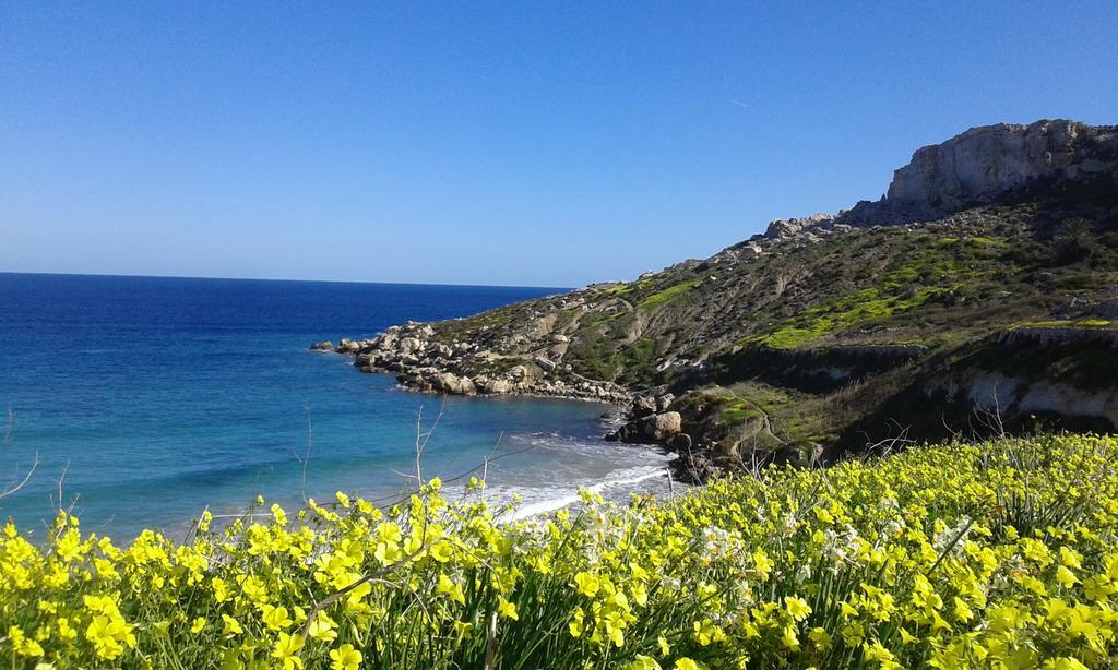 White Stallion Mellieħa Exterior foto